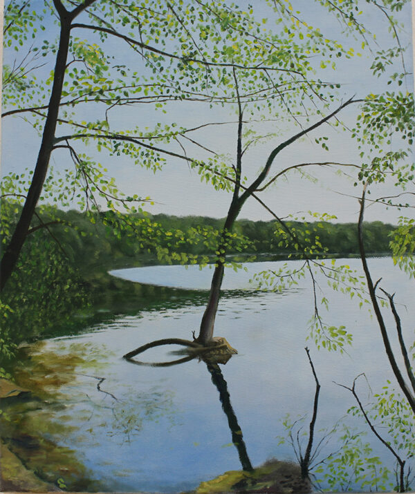 "Schlachtensee" Öl auf Leinwand, 60 x 50 cm, Felix Rieger 2015